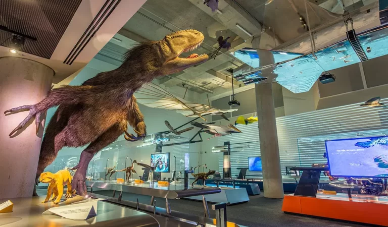 Come face-to-face with a 30-foot dinosaur at the Feathers to the Stars exhibition.