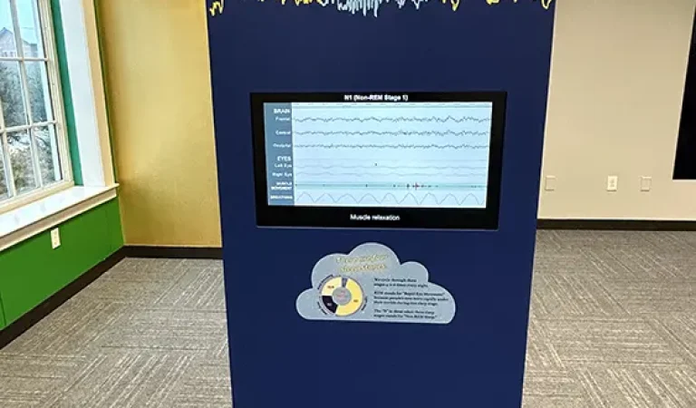 3.1 Brain Waves