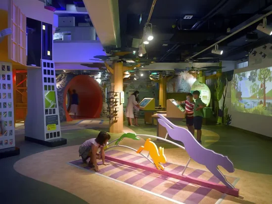 Paul Orselli | Muzeiko Museum | Animal Jump Exhibit