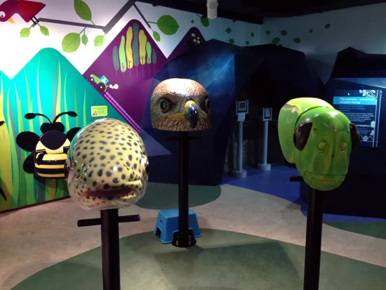 Paul Orselli | Muzeiko Museum | Animal Vision Exhibit