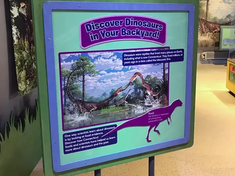Dinos sign dinosaurs in your backyard exhibit