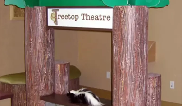 Treetop Theatre early childhood exhibition